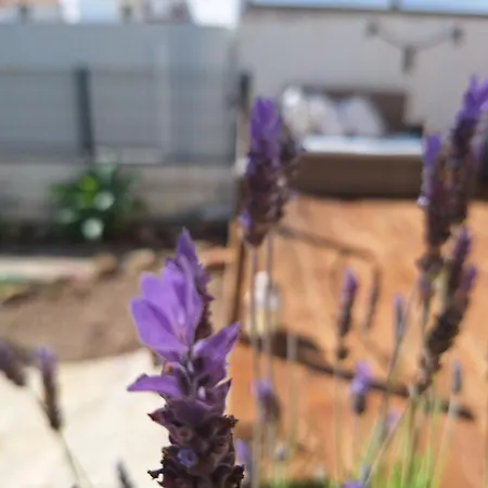 펜션 Casinha Do Sul- Private Pool